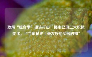 政策“组合拳”接连打出：楼市已现三大积极变化，“当前是史上最友好的买房时期”