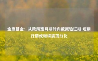 金鹰基金：从政策蜜月期转向数据验证期 短期行情或继续震荡分化