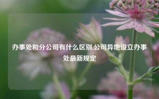 办事处和分公司有什么区别,公司异地设立办事处最新规定