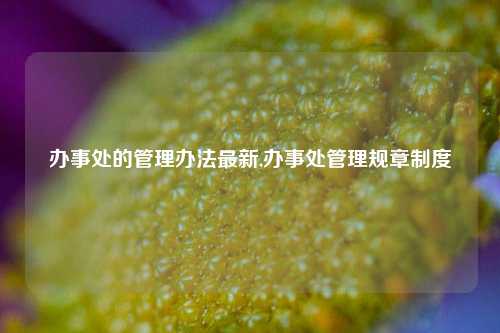 办事处的管理办法最新,办事处管理规章制度-第1张图片-山东省农村信用社联合社泰安办事处