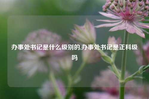 办事处书记是什么级别的,办事处书记是正科级吗-第1张图片-山东省农村信用社联合社泰安办事处