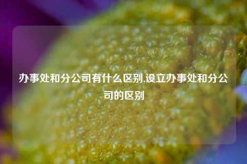 办事处和分公司有什么区别,设立办事处和分公司的区别-第1张图片-山东省农村信用社联合社泰安办事处