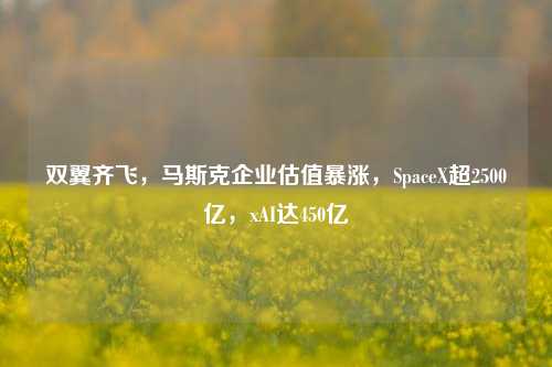 双翼齐飞，马斯克企业估值暴涨，SpaceX超2500亿，xAI达450亿-第1张图片-山东省农村信用社联合社泰安办事处