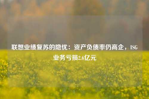 联想业绩复苏的隐忧：资产负债率仍高企，ISG业务亏损2.6亿元-第1张图片-山东省农村信用社联合社泰安办事处