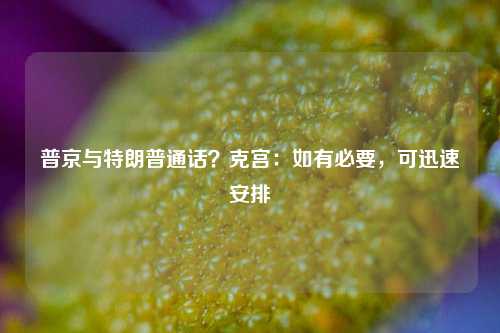 普京与特朗普通话？克宫：如有必要，可迅速安排-第1张图片-山东省农村信用社联合社泰安办事处