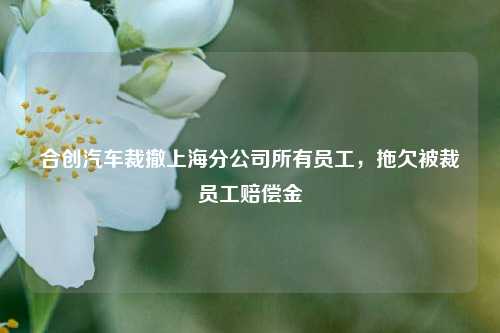 合创汽车裁撤上海分公司所有员工，拖欠被裁员工赔偿金-第1张图片-山东省农村信用社联合社泰安办事处