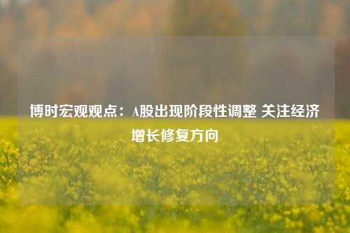 博时宏观观点：A股出现阶段性调整 关注经济增长修复方向-第1张图片-山东省农村信用社联合社泰安办事处