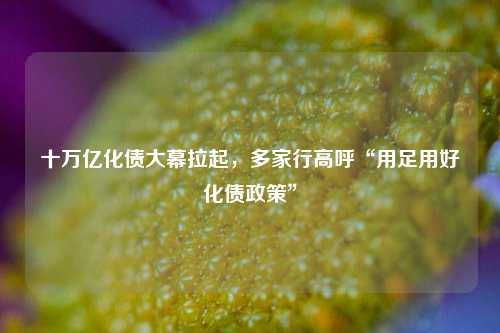 十万亿化债大幕拉起，多家行高呼“用足用好化债政策”-第1张图片-山东省农村信用社联合社泰安办事处