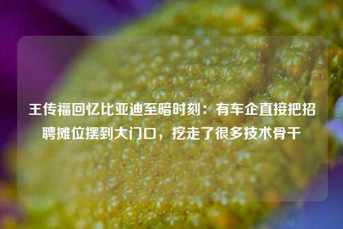 王传福回忆比亚迪至暗时刻：有车企直接把招聘摊位摆到大门口，挖走了很多技术骨干-第1张图片-山东省农村信用社联合社泰安办事处