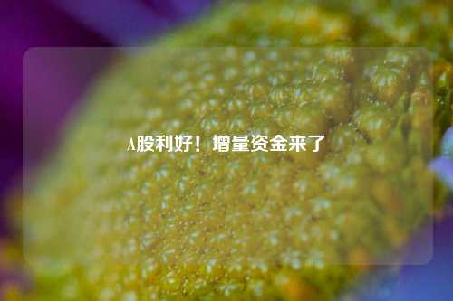 A股利好！增量资金来了-第1张图片-山东省农村信用社联合社泰安办事处