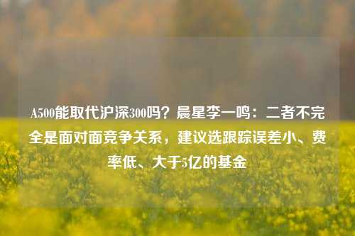 A500能取代沪深300吗？晨星李一鸣：二者不完全是面对面竞争关系，建议选跟踪误差小、费率低、大于5亿的基金-第1张图片-山东省农村信用社联合社泰安办事处