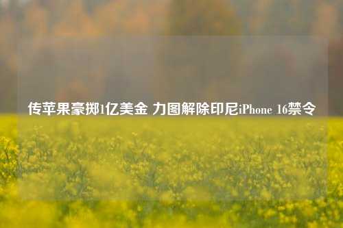 传苹果豪掷1亿美金 力图解除印尼iPhone 16禁令-第1张图片-山东省农村信用社联合社泰安办事处