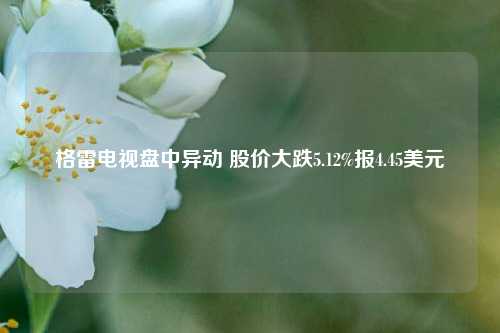 格雷电视盘中异动 股价大跌5.12%报4.45美元-第1张图片-山东省农村信用社联合社泰安办事处