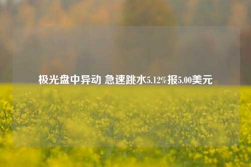 极光盘中异动 急速跳水5.12%报5.00美元-第1张图片-山东省农村信用社联合社泰安办事处