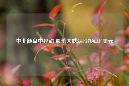 中北能盘中异动 股价大跌5.66%报0.330美元-第1张图片-山东省农村信用社联合社泰安办事处