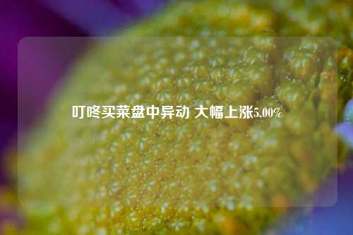 叮咚买菜盘中异动 大幅上涨5.00%-第1张图片-山东省农村信用社联合社泰安办事处