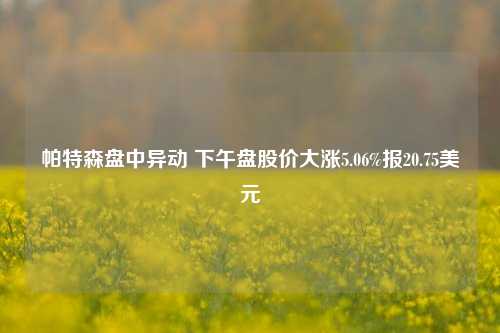 帕特森盘中异动 下午盘股价大涨5.06%报20.75美元-第1张图片-山东省农村信用社联合社泰安办事处