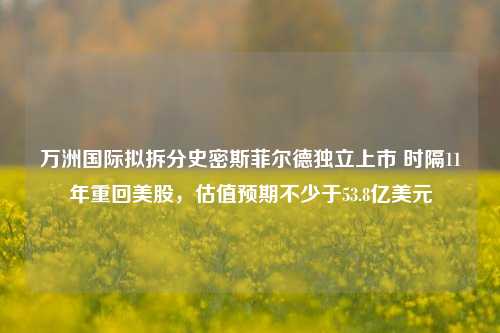 万洲国际拟拆分史密斯菲尔德独立上市 时隔11年重回美股，估值预期不少于53.8亿美元-第1张图片-山东省农村信用社联合社泰安办事处