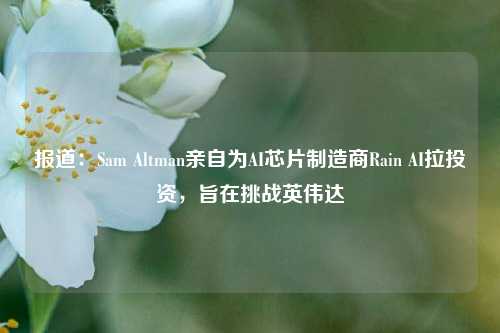 报道：Sam Altman亲自为AI芯片制造商Rain AI拉投资，旨在挑战英伟达-第1张图片-山东省农村信用社联合社泰安办事处