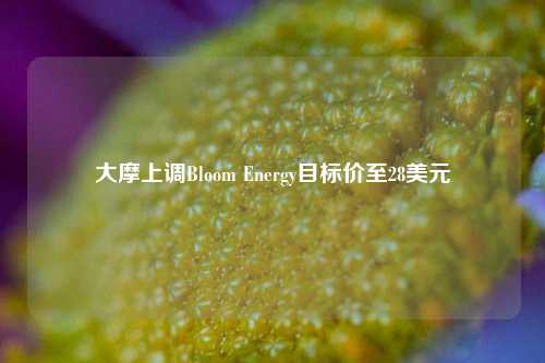 大摩上调Bloom Energy目标价至28美元-第1张图片-山东省农村信用社联合社泰安办事处