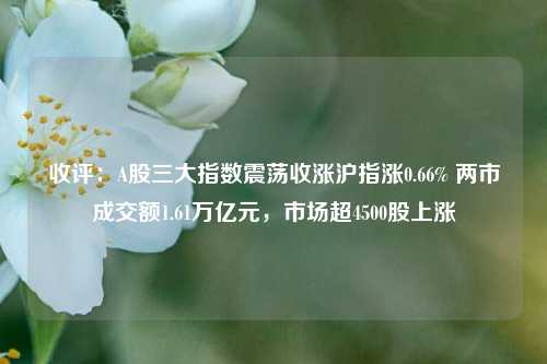 收评：A股三大指数震荡收涨沪指涨0.66% 两市成交额1.61万亿元，市场超4500股上涨-第1张图片-山东省农村信用社联合社泰安办事处