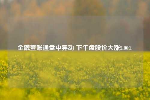 金融壹账通盘中异动 下午盘股价大涨5.00%-第1张图片-山东省农村信用社联合社泰安办事处