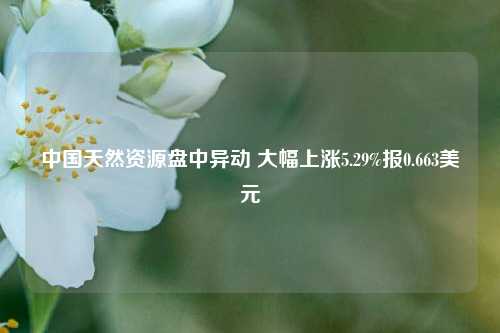 中国天然资源盘中异动 大幅上涨5.29%报0.663美元-第1张图片-山东省农村信用社联合社泰安办事处