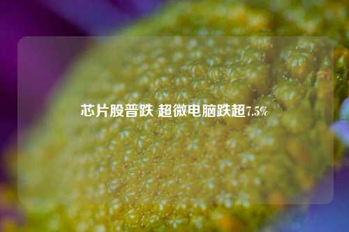 芯片股普跌 超微电脑跌超7.5%-第1张图片-山东省农村信用社联合社泰安办事处