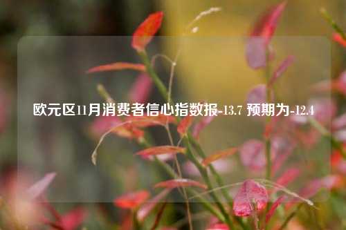 欧元区11月消费者信心指数报-13.7 预期为-12.4-第1张图片-山东省农村信用社联合社泰安办事处