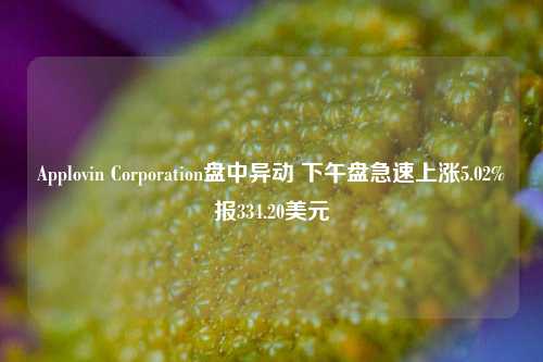 Applovin Corporation盘中异动 下午盘急速上涨5.02%报334.20美元-第1张图片-山东省农村信用社联合社泰安办事处