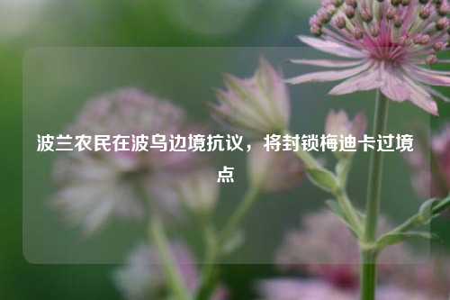 波兰农民在波乌边境抗议，将封锁梅迪卡过境点-第1张图片-山东省农村信用社联合社泰安办事处