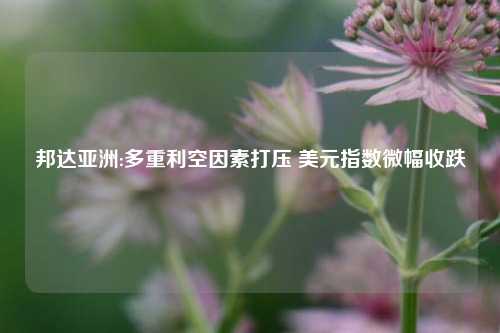 邦达亚洲:多重利空因素打压 美元指数微幅收跌-第1张图片-山东省农村信用社联合社泰安办事处