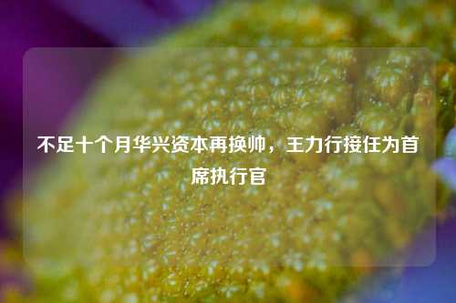 不足十个月华兴资本再换帅，王力行接任为首席执行官-第1张图片-山东省农村信用社联合社泰安办事处