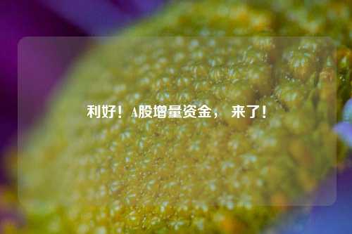 利好！A股增量资金， 来了！-第1张图片-山东省农村信用社联合社泰安办事处