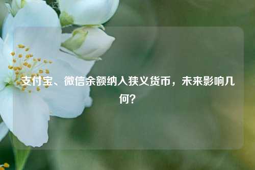 支付宝、微信余额纳入狭义货币，未来影响几何？-第1张图片-山东省农村信用社联合社泰安办事处