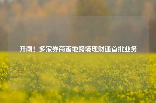 开闸！多家券商落地跨境理财通首批业务-第1张图片-山东省农村信用社联合社泰安办事处